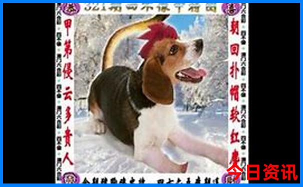 湖北旅游攻略必去景点